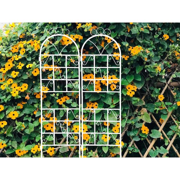Runesay 2- Piece 72 in. x 19.6 in. x 0.6 in. Cream White Outdoor Metal Garden Arch Plant Climbing Trellis for Wedding and Party