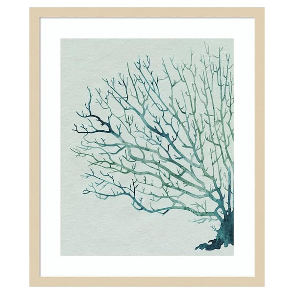 Amanti Art Seaglass Shadow II by Grace Popp 21 in. W x 25 in. H. Wood Framed Wall Art Print Framed in Brown