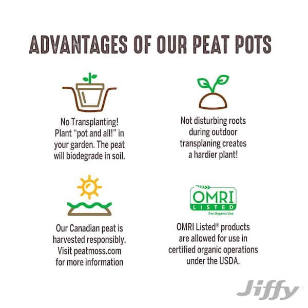 Peat Pots 4 Round