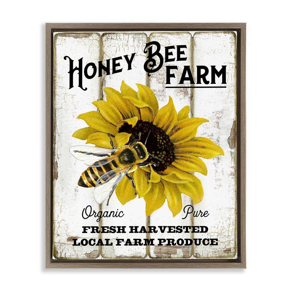 Honey Bee Farm by Creatif Belle Brown Floater Frame Animal Graphic Art Print 31 in. x 25 in. price history on PriceWatchPro