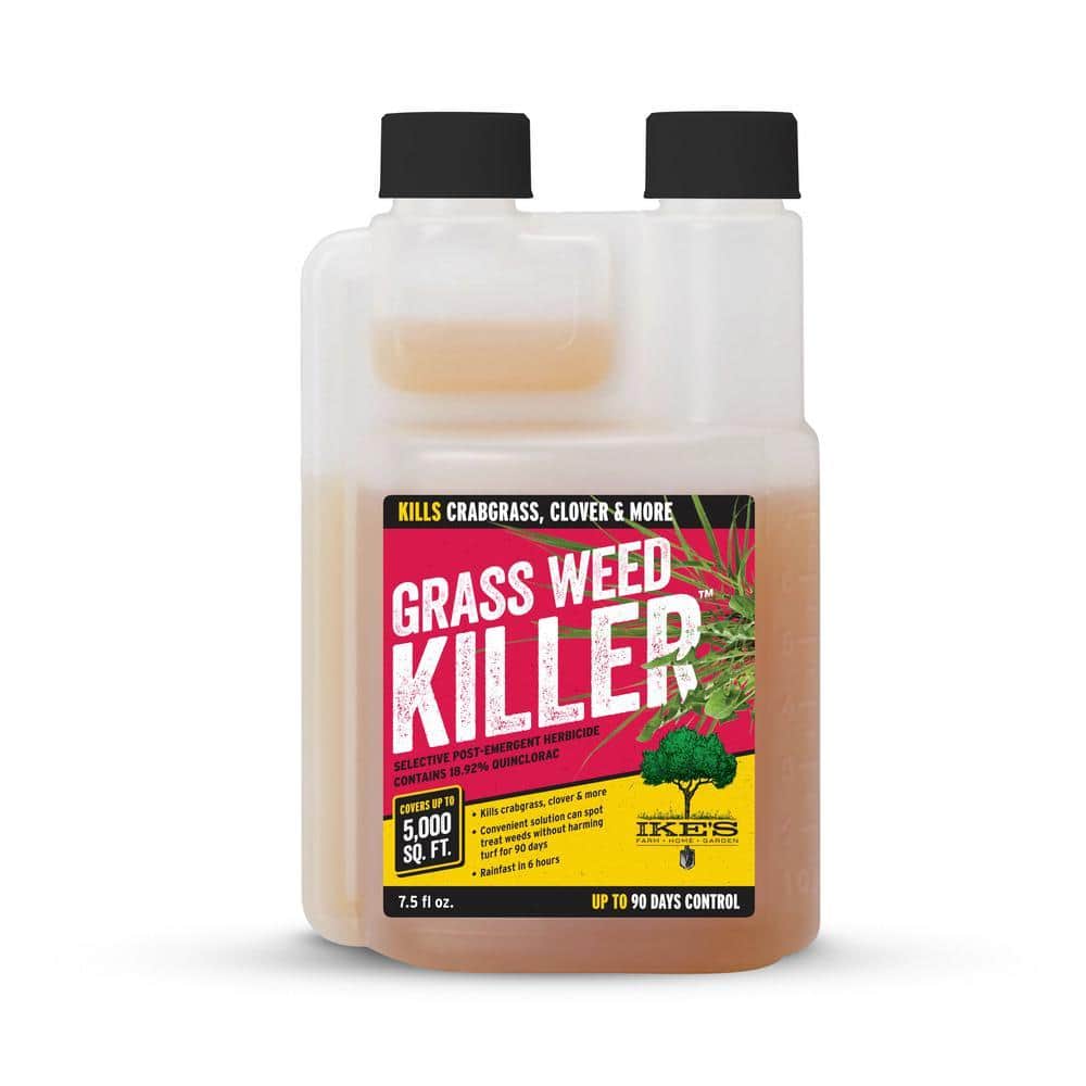 best fungicide for indoor plants Organic Bio Fungicide