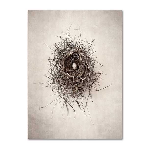 Trademark Fine Art Debra Van Swearingen 'Nest I' Canvas Unframed Photography Wall Art 24 in. W. x 32 in