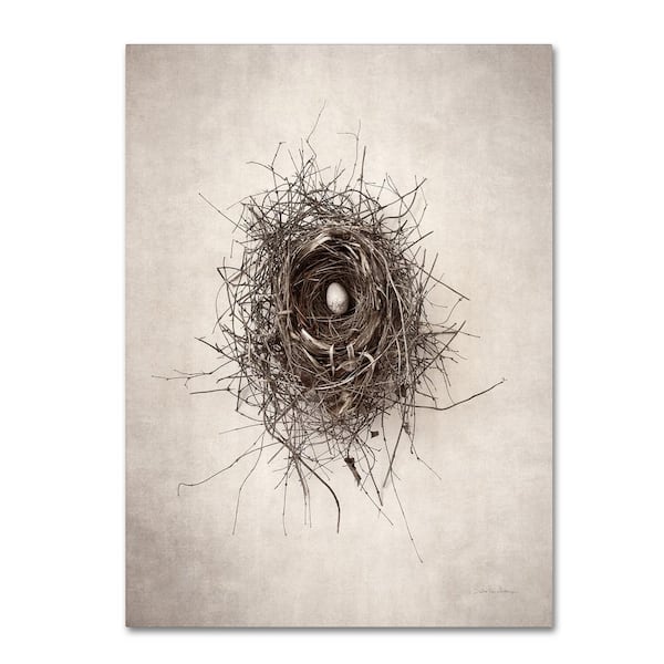 Trademark Fine Art Debra Van Swearingen 'Nest I' Canvas Unframed Photography Wall Art 35 in. W. x 47 in
