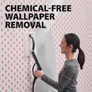 915e Multi-Purpose On-Demand Steam Cleaner and Wallpaper remover