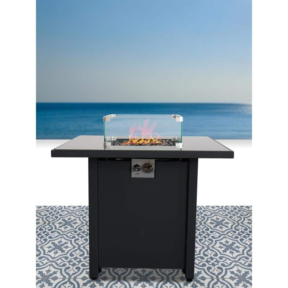 30 in. Steel Propane/Natural Gas Outdoor Home Garden Backyard Fireplace ...