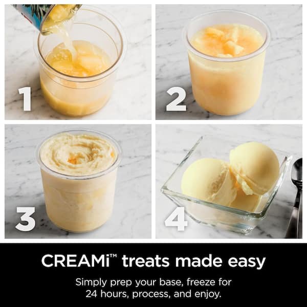 Homemade Ice Cream Maker, By the Pint