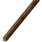 Trail Oak Brown 19 mm Thick x 3/4 in. Wide x 94 in. Length Coordinating Vinyl Quarter Round Molding