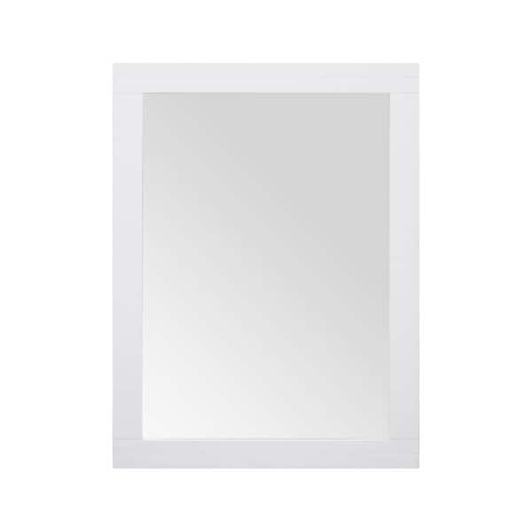 Sturgess 24 in. W x 32 in. H Rectangular Medicine Cabinet with Mirror