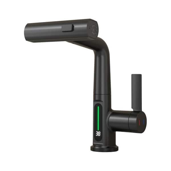 Boyel Living Single Handle Pull Out Sprayer Kitchen Faucet in Matte Black with LED Temperature Digital Display