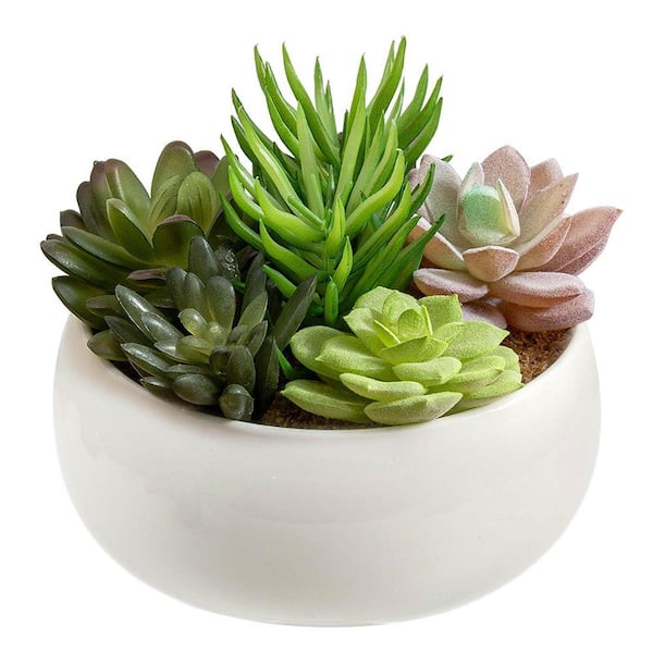 Unbranded 4.7 in. Artificial Succulent Arrangement in White Ceramic Pot  WK1115