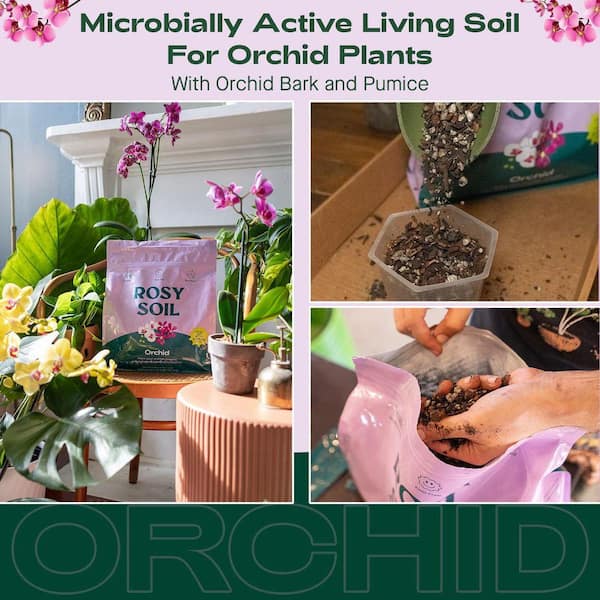ROSY SOIL Organic 4 qt. Orchid Soil Potting Mix with Superior Aeration and  Drainage for Orchids (1-Pack) OR4 - The Home Depot