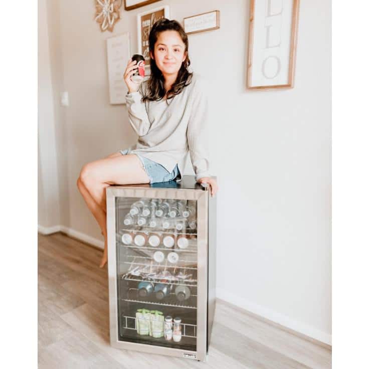Compact Stainless Steel Undercounter Drinks Chiller with Glass Door