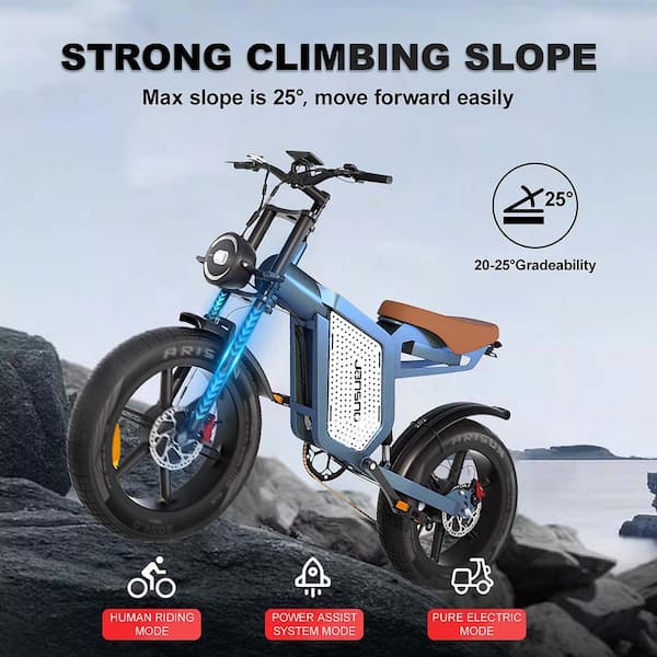 elecony 折りたたみ自転車 Zeus & Ruta 20 in. 750-Watt Fat Tire 48-Volt Removable Lithium