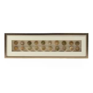 Abstract Gourd Shell Wall Art