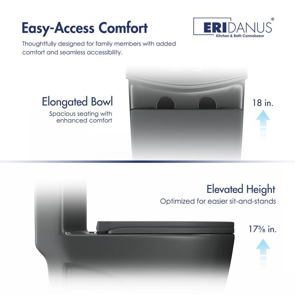 Reno Matte Black Elongated Dual Flush One-Piece Toilet