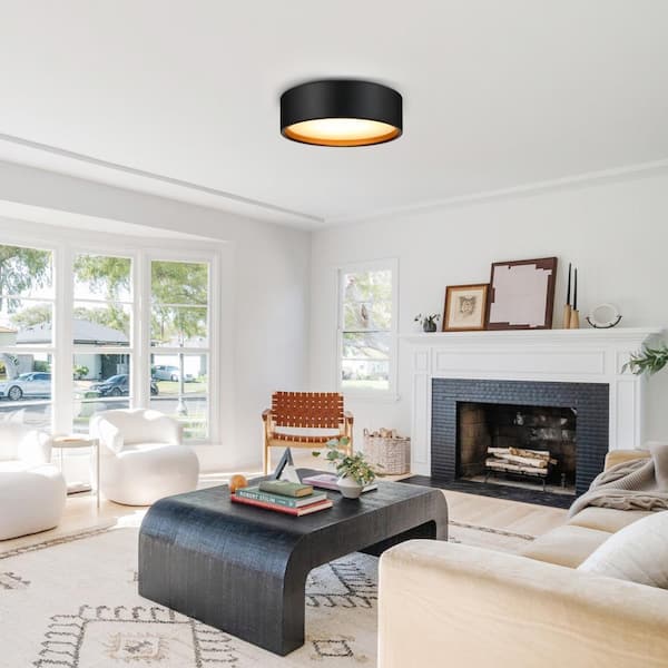 pasentel 14 in. LED Modern Black Dimmable Flush Mount Ceiling