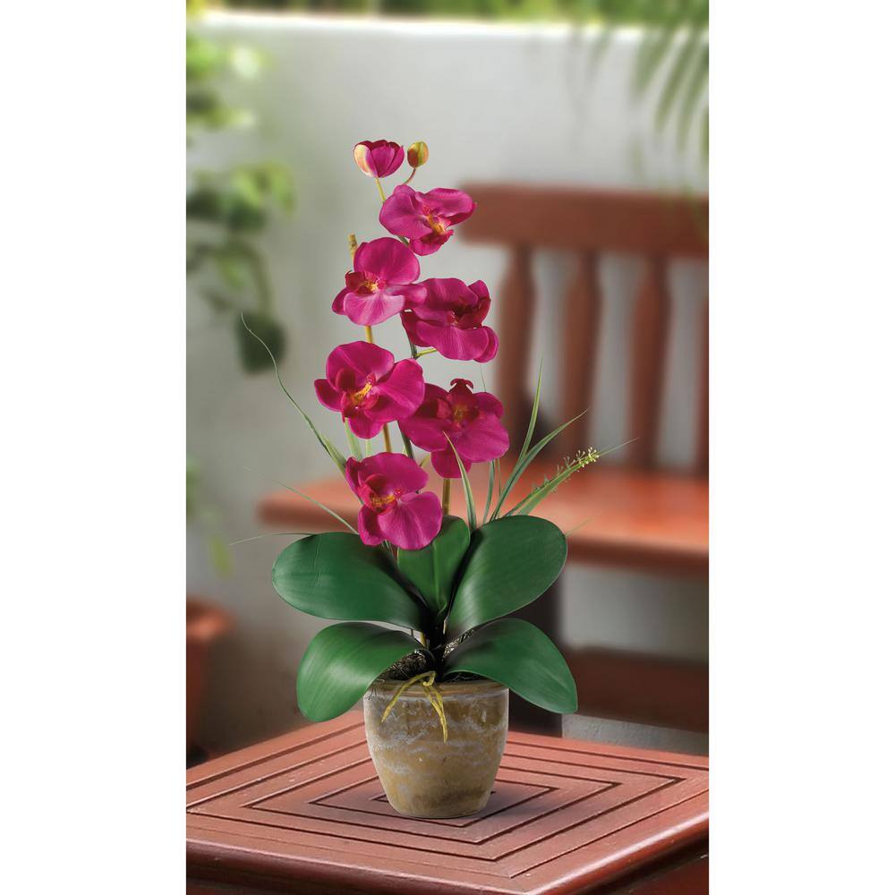 Vibrant Pink Artificial Phalaenopsis Orchid in Ceramic Pot