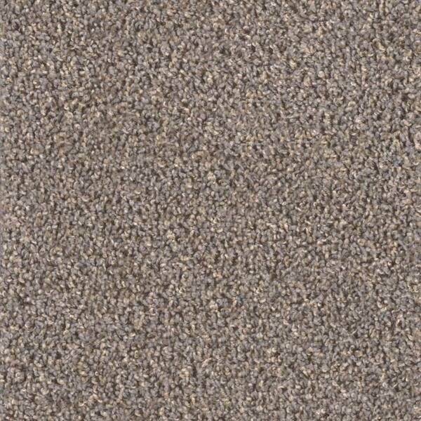 TrafficMaster Reed Piper - Color Dunlin Indoor Texture Gray Carpet