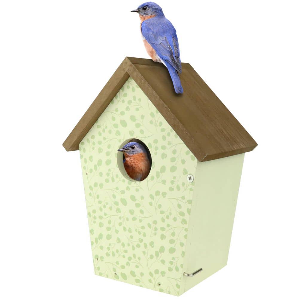 Spring Ivy Decorative Wood Bluebird Birdhouse price history on PriceWatchPro