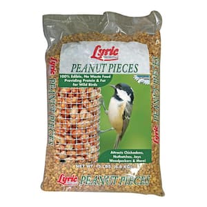 15 lbs. Peanut Pieces Wild Bird Food