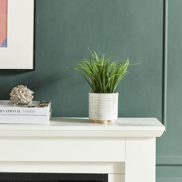 Unbranded Tidy 11 in. Green Artificial Grass in Footed Ceramic Pot