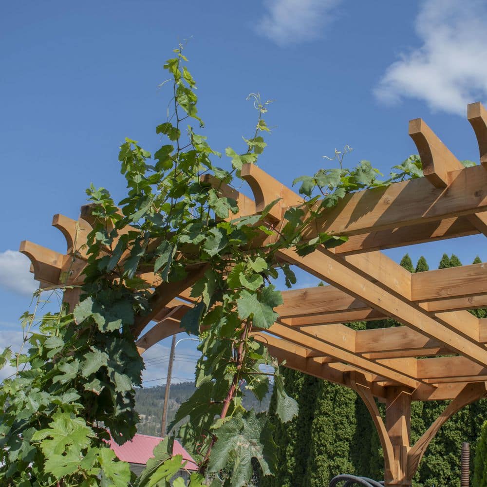 Western Red Cedar 8x10 ft. Rustic Outdoor Pergola