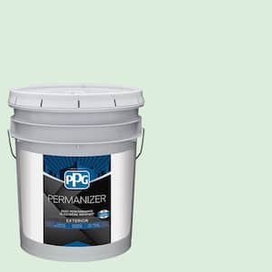 5 gal. PPG1225-2 Dewmist Delight Semi-Gloss Exterior Paint