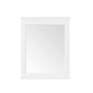 Caville 24 in. W x 30 in. H Rectangular White Surface Mount Medicine Cabinet with Mirror