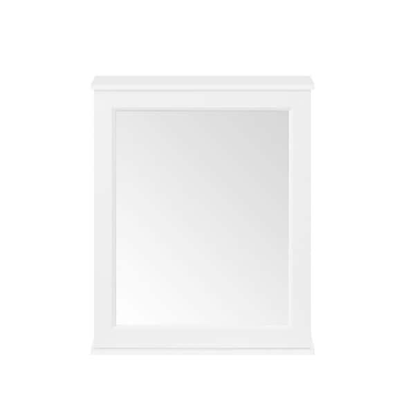 Caville 24 in. W x 8 in. D x 30 in. H Rectangular Surface Mount White Medicine Cabinet with Mirror