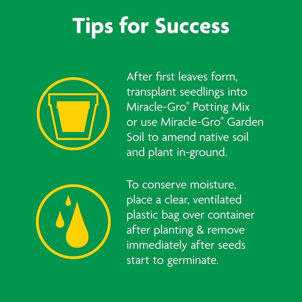 Miracle-Gro Seed Starting Potting Mix, 8 qt., For Use in Containers, Soil (2-Pack)