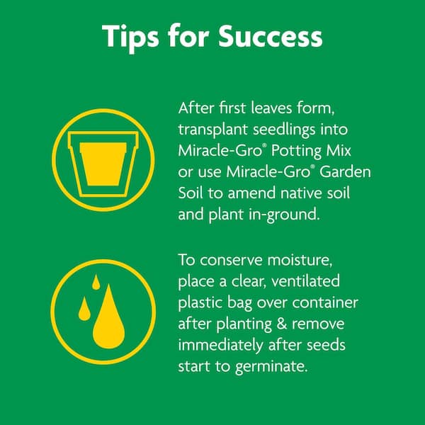 Miracle-gro Seed Starting Potting Mix, 8 qt. 2-pack