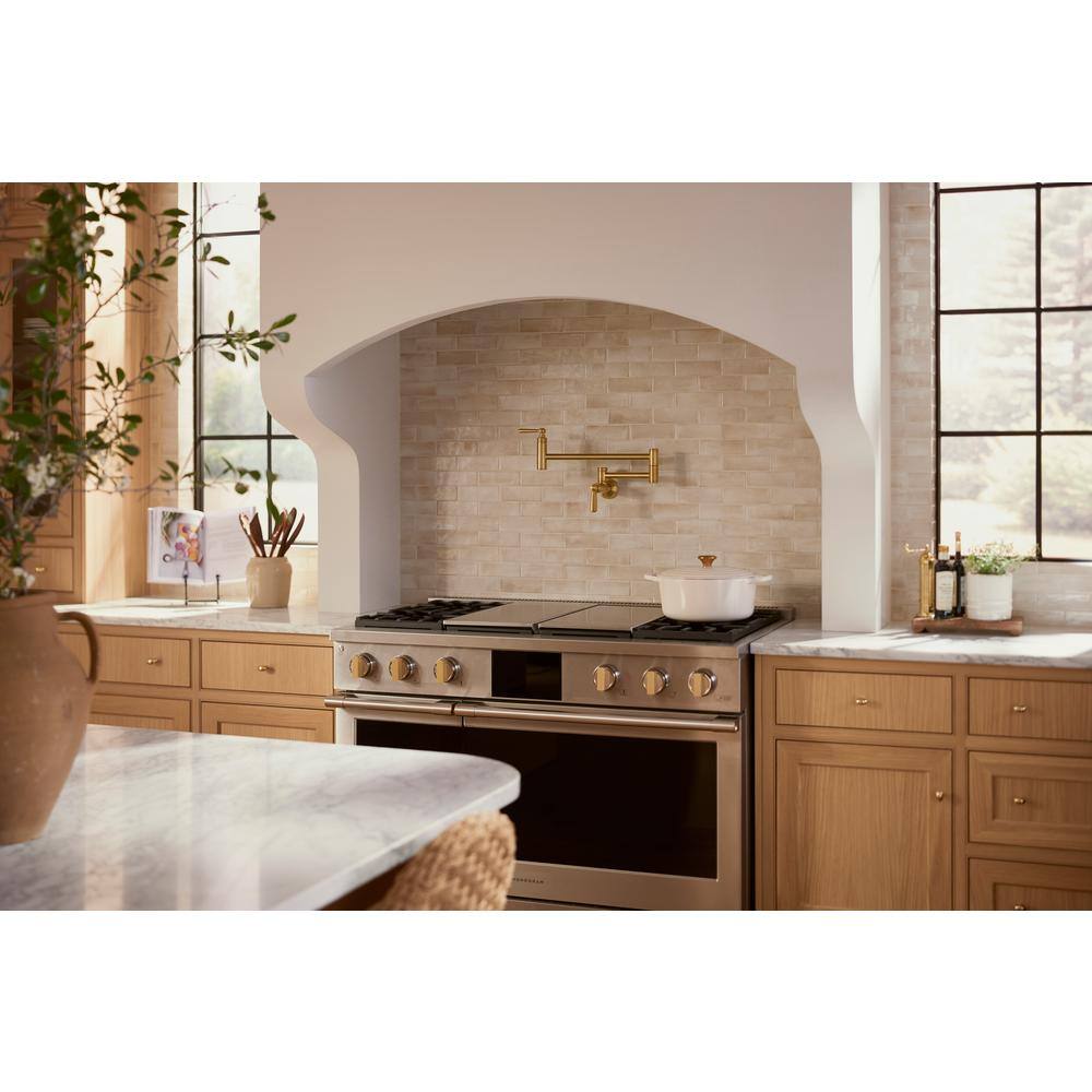 Edalyn Vibrant Brushed Moderne Brass Wall-Mount Pot Filler