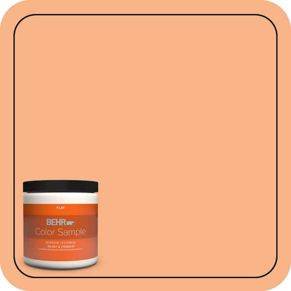 BEHR PREMIUM PLUS 8 oz. #250D-4 Autumn Mist Flat Interior/Exterior Paint & Primer Color Sample