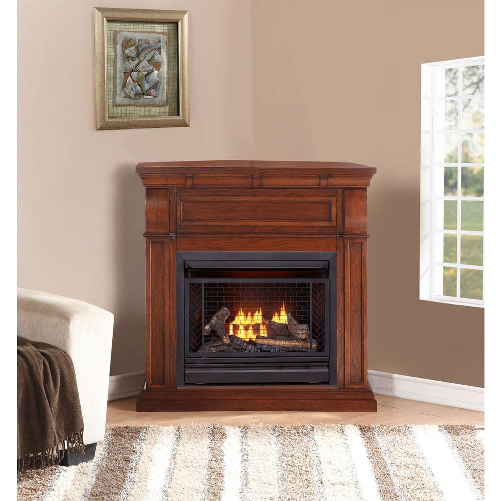Bluegrass Living 26 000 Btu Vent Free Propane Gas Fireplace System Remote Control B300rtp 1 Co The Home Depot Bluegrass Living 26 000 Btu Vent Free, Vent Free Propane Fireplace Home Depot