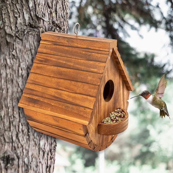 ボール bird Jr Kingsyard Classic Wooden Bluebird House with 1.5'' Hole