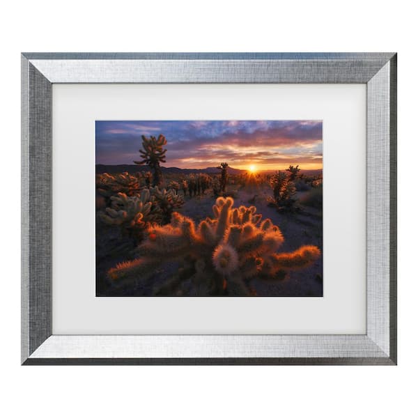 Trademark Fine Art Inigo Cia Cholla Garden Matted Framed Photography Wall Art 19.5 in. x 23.5 in.