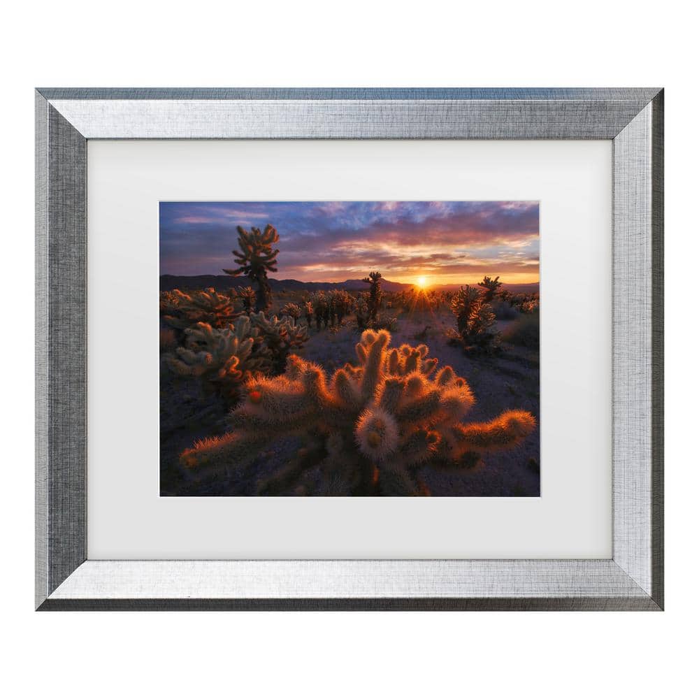 Inigo Cia Cholla Garden Matted Framed Photography Wall Art 14.5 in. x 17.5 in. price history on PriceWatchPro