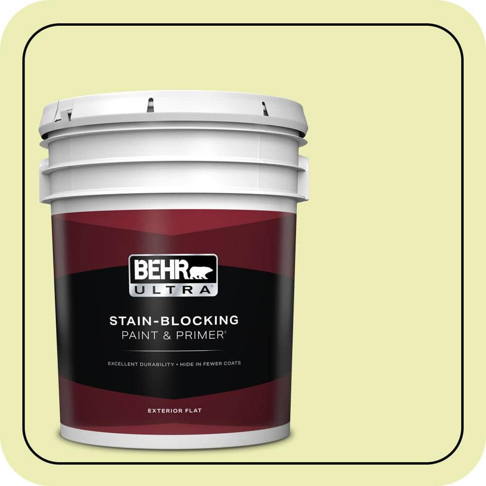 5 gal. #410A-2 Cabbage Green Flat Exterior Paint & Primer price history on PriceWatchPro