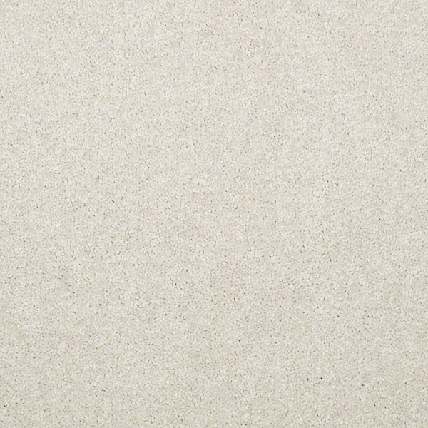 TrafficMaster 8 in. x 8 in. Texture Carpet Sample - Watercolors I - Color Homespun