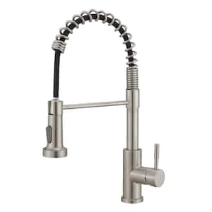 Single Handle Pull Out Sprayer Kitchen Faucet in