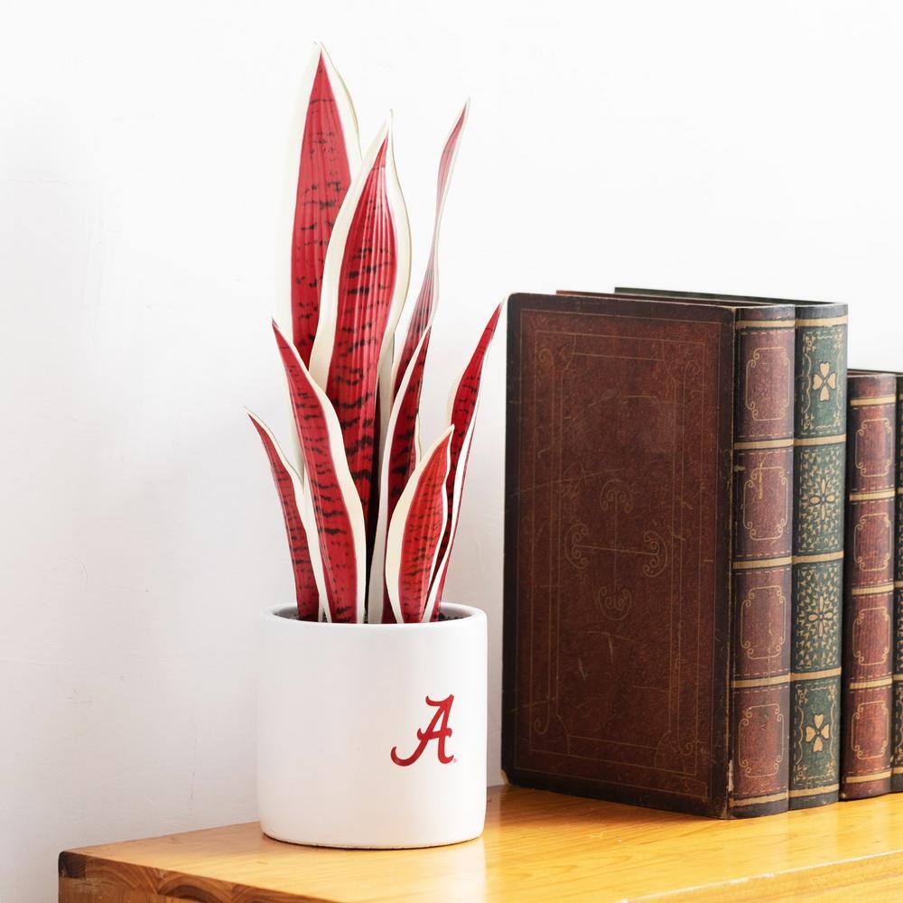 Eternal Green 18'' Faux Snake Plant in Plastic Pot