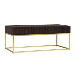 24.75 in. Dark Brown and Gold Rectangle Wood Coffee Table with 2-Drawers