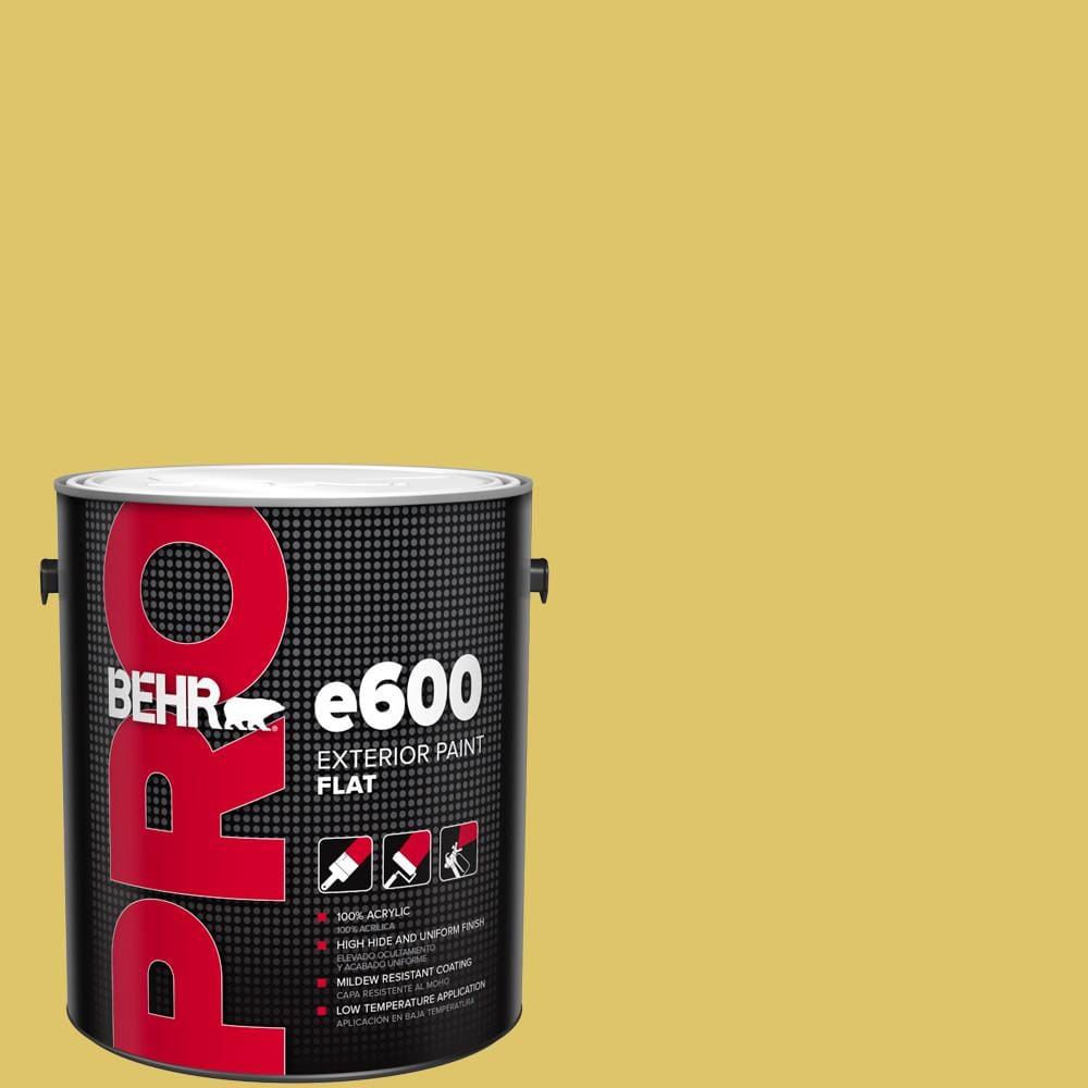 1 gal. #380D-5 California Dreaming Flat Exterior Paint price history on PriceWatchPro