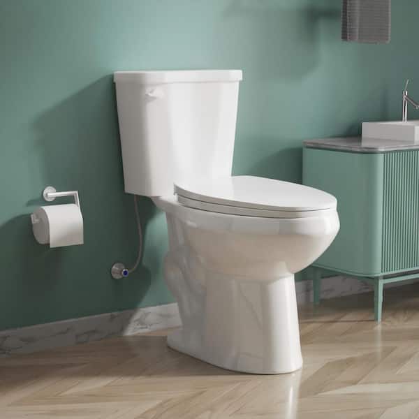 17 in. Tall ADA 2-Piece Toilet 1.0 GPF Single Flush Elongated White Toilet with Soft Close Seat for Seniors Elder Toilet