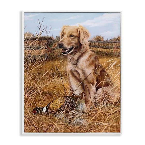 Stupell Industries Hunting Dog & Pheasant by Kevin Daniel White Framed Animal Giclee Art Print 20 in. x 16 in.
