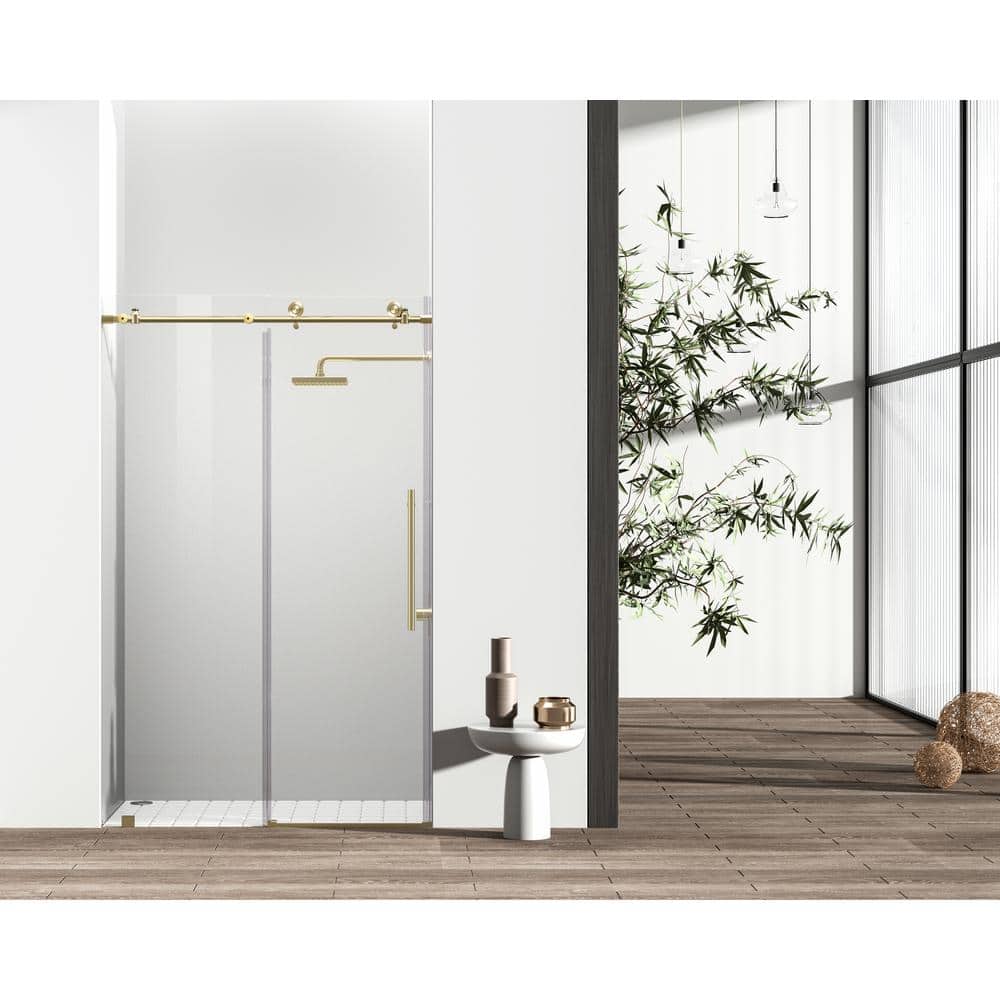 Simply Living 48 in. W x 76 in. H Frameless Sliding Shower Door in Brushed 