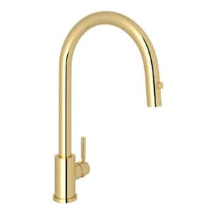 Holborn Single-Handle Pull Down Sprayer Kitchen Faucet in Unlacquered Brass