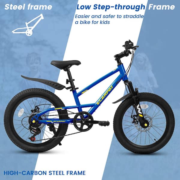 Cesicia 20 in. Steel Mountain Bike with 7 Speed and Front