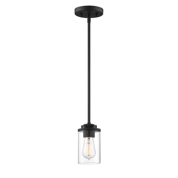 Jedrek 60-Watt 1-Light Black Industrial Mini Pendant Light with Clear Glass Shade and No Bulbs Included
