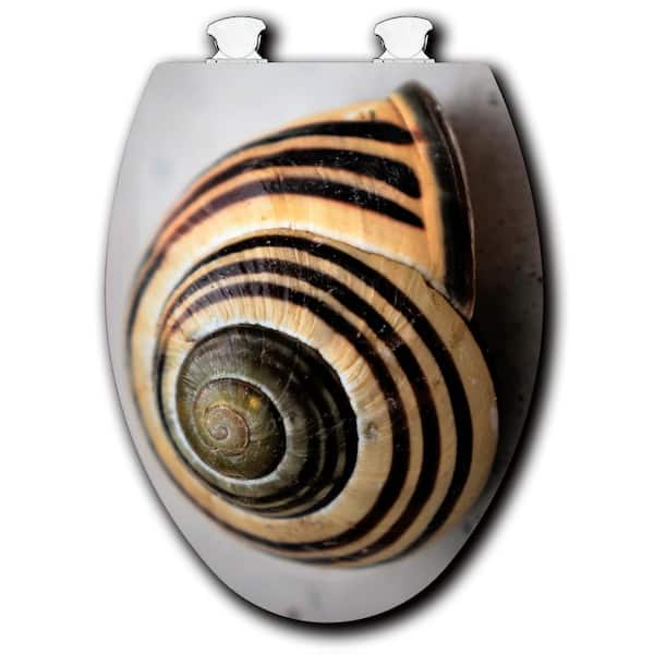 Unbranded Shell Macro View Elongated Closed Front Toilet Seat in White